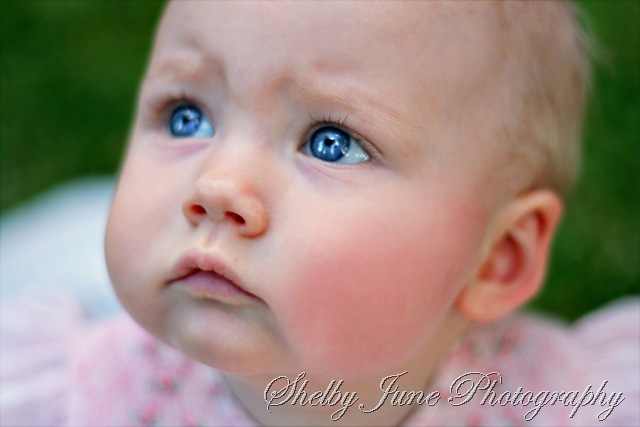 [ellie9copy[10].jpg]